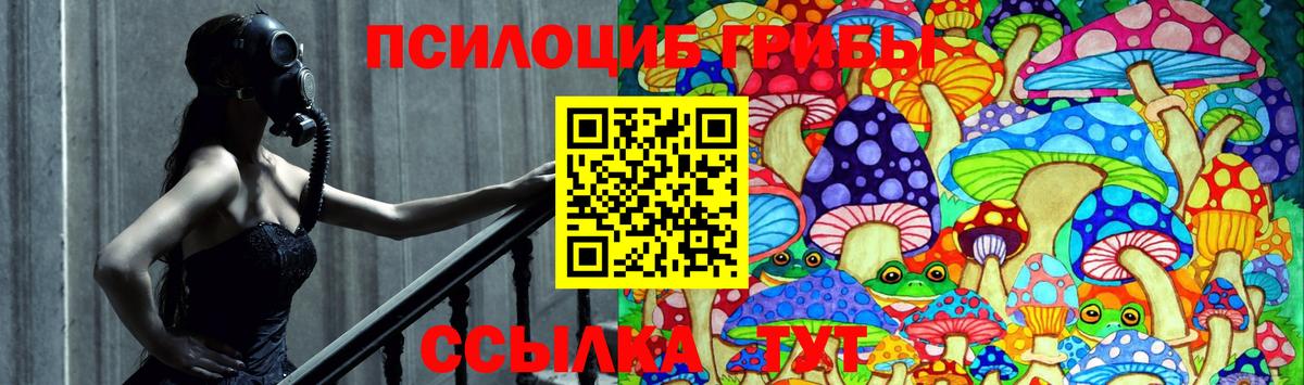 Псилоцибиновые грибы MAGIC MUSHROOMS  Вход с VPN  Псилоцибиновые грибы Magic Shrooms  Кудымкар 